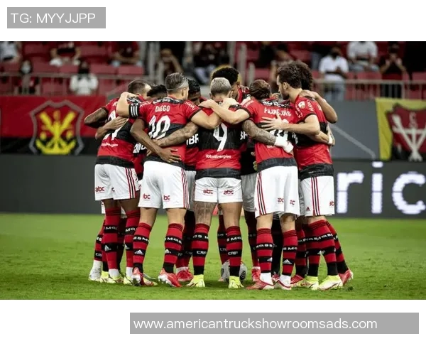 巴西足球甲级联赛的历史演变与未来发展趋势分析